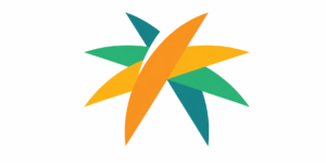 Expatriate Employee