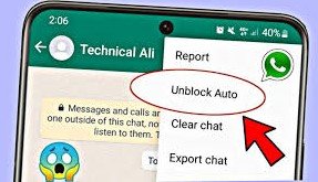 WP Unblock